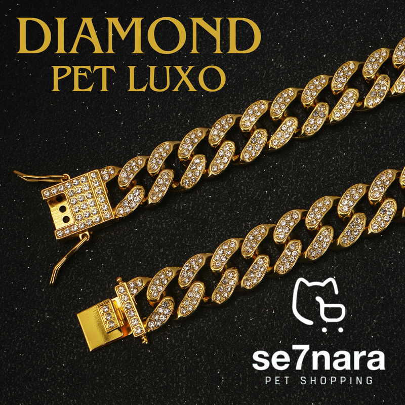 Colar Diamond Pet Luxo