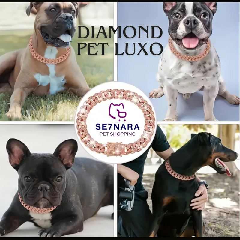 Colar Diamond Pet Luxo