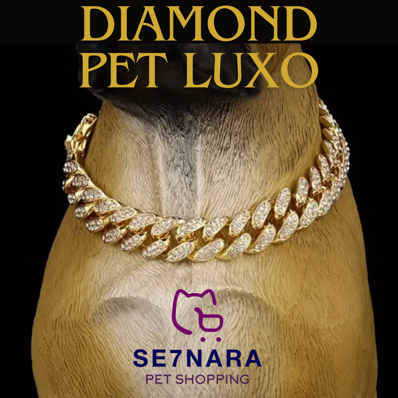 Colar Diamond Pet Luxo