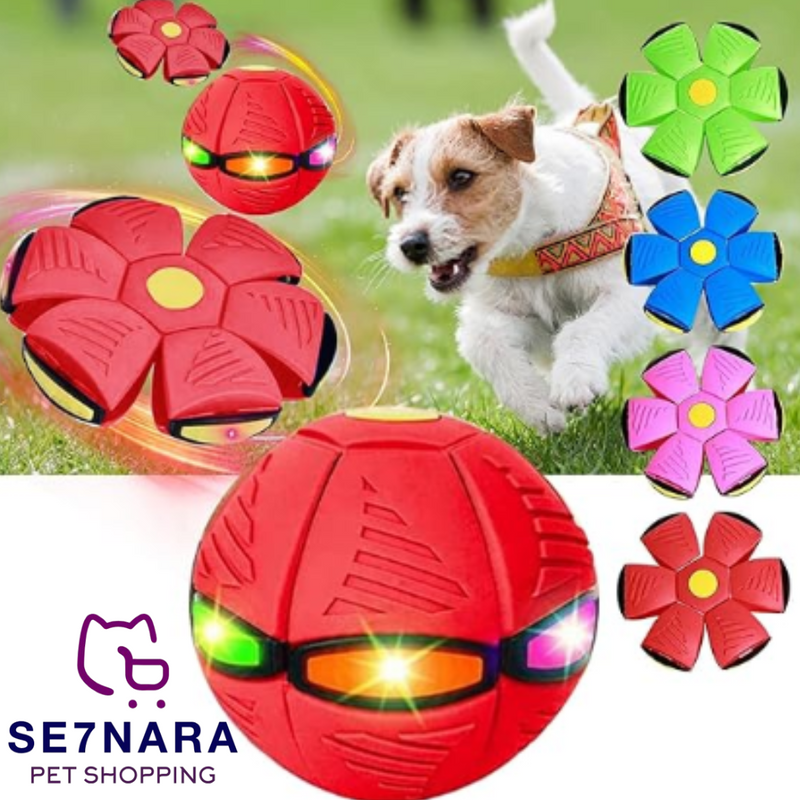 DOG FLY BALL brinquedo interativo para Cães e Gatos