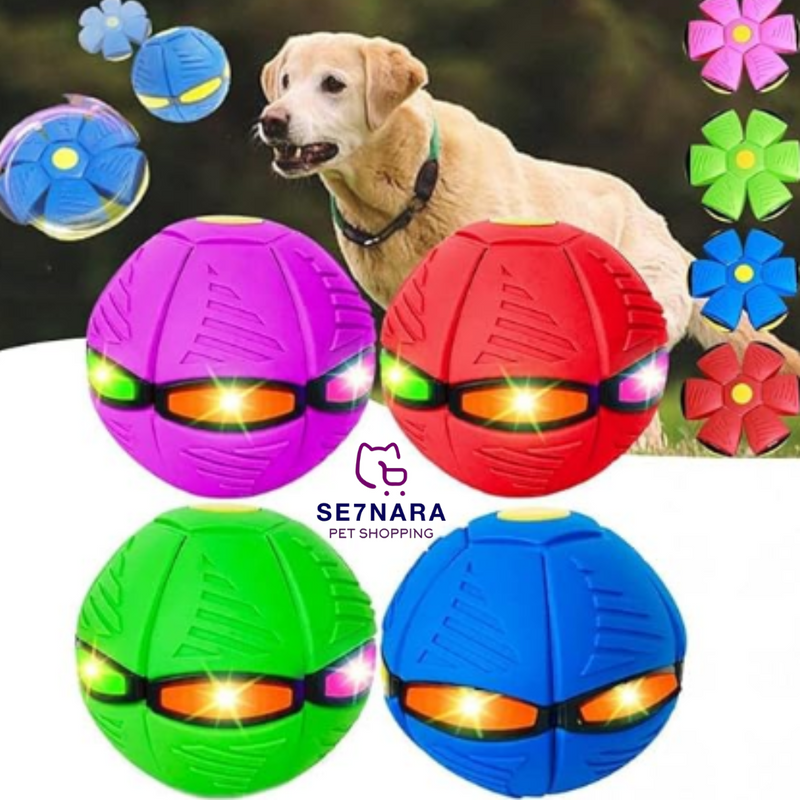 DOG FLY BALL brinquedo interativo para Cães e Gatos