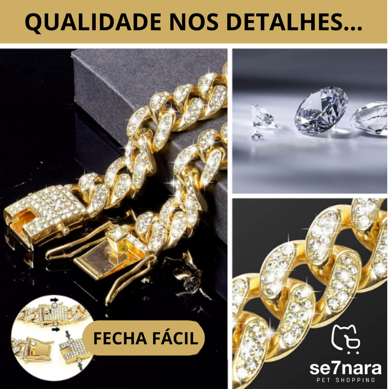 Colar Diamond Pet Luxo