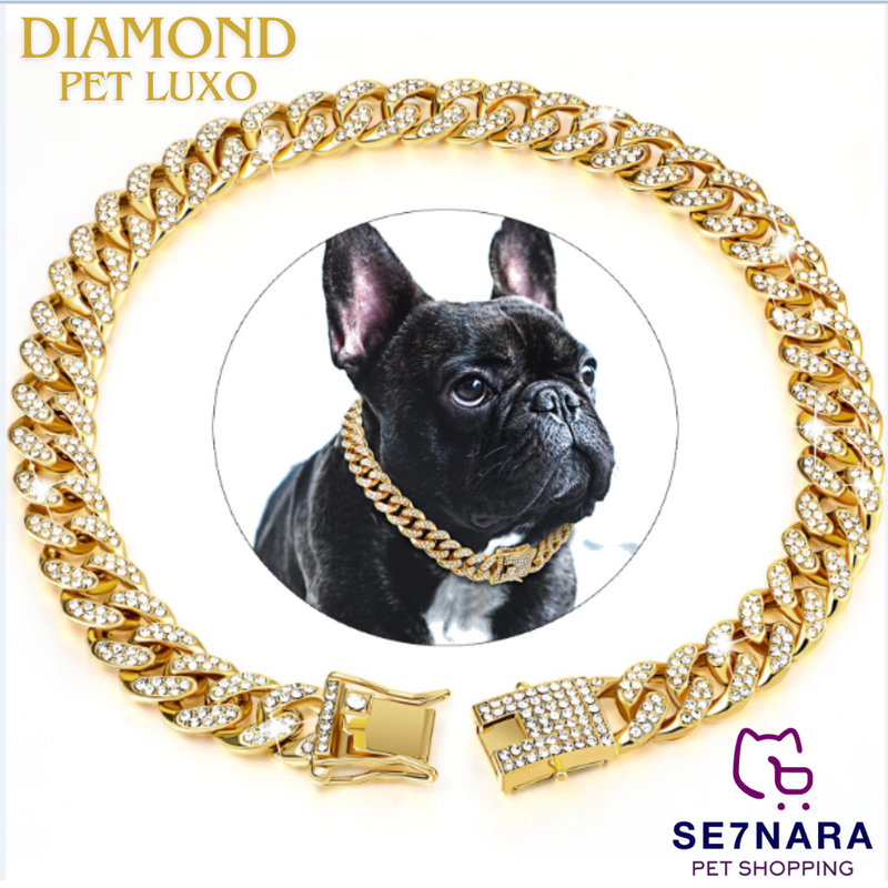 Colar Diamond Pet Luxo