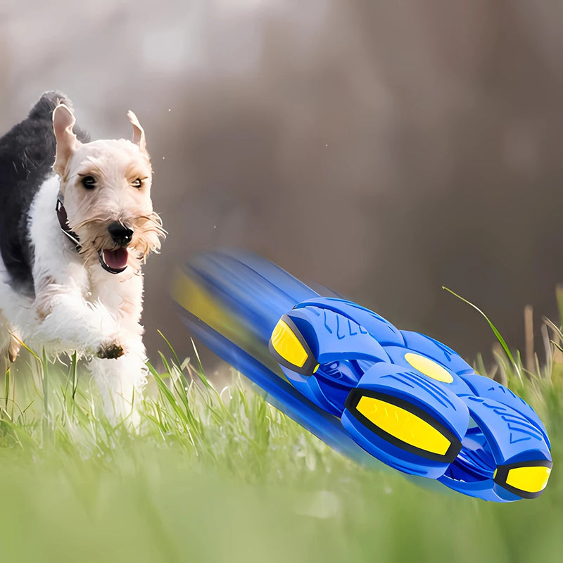 DOG FLY BALL brinquedo interativo para Cães e Gatos