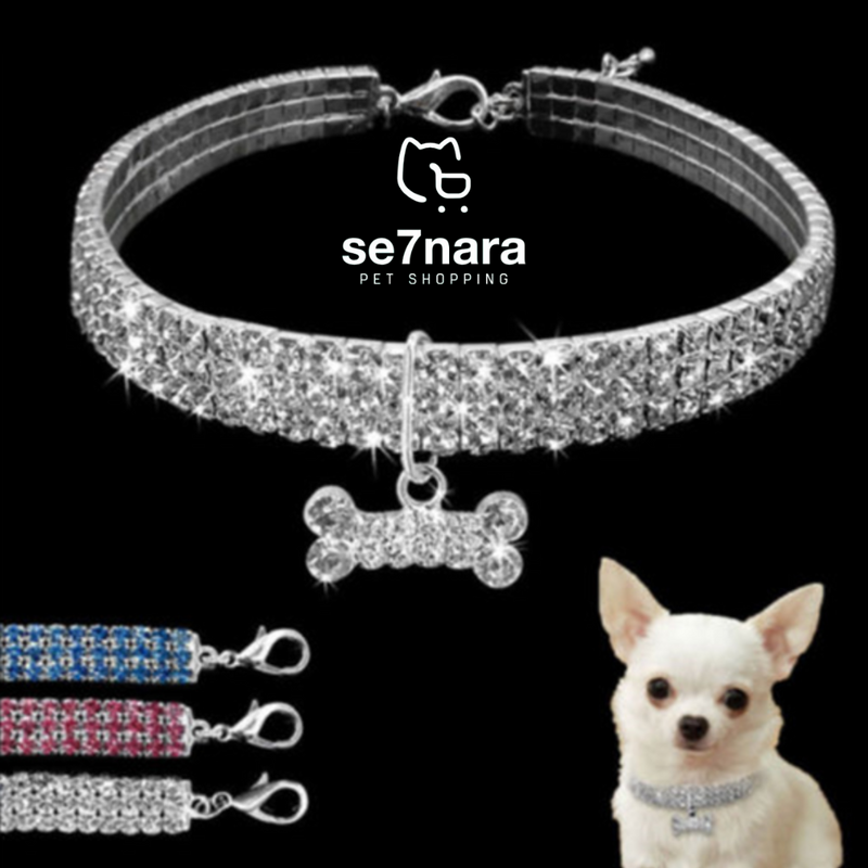 Colar Dog de Luxo PETJÓIA com strass